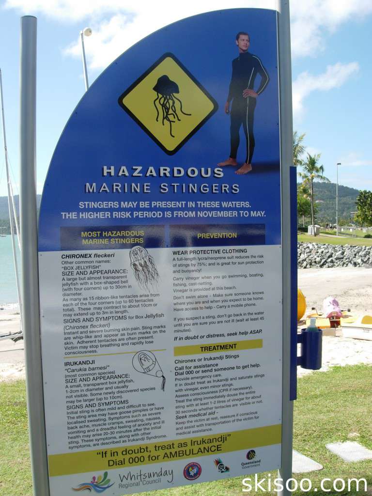 Information board on the danger of local jellyfish