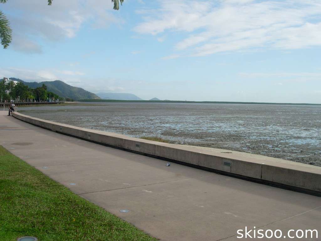 Waterfront in Cairns during low tide