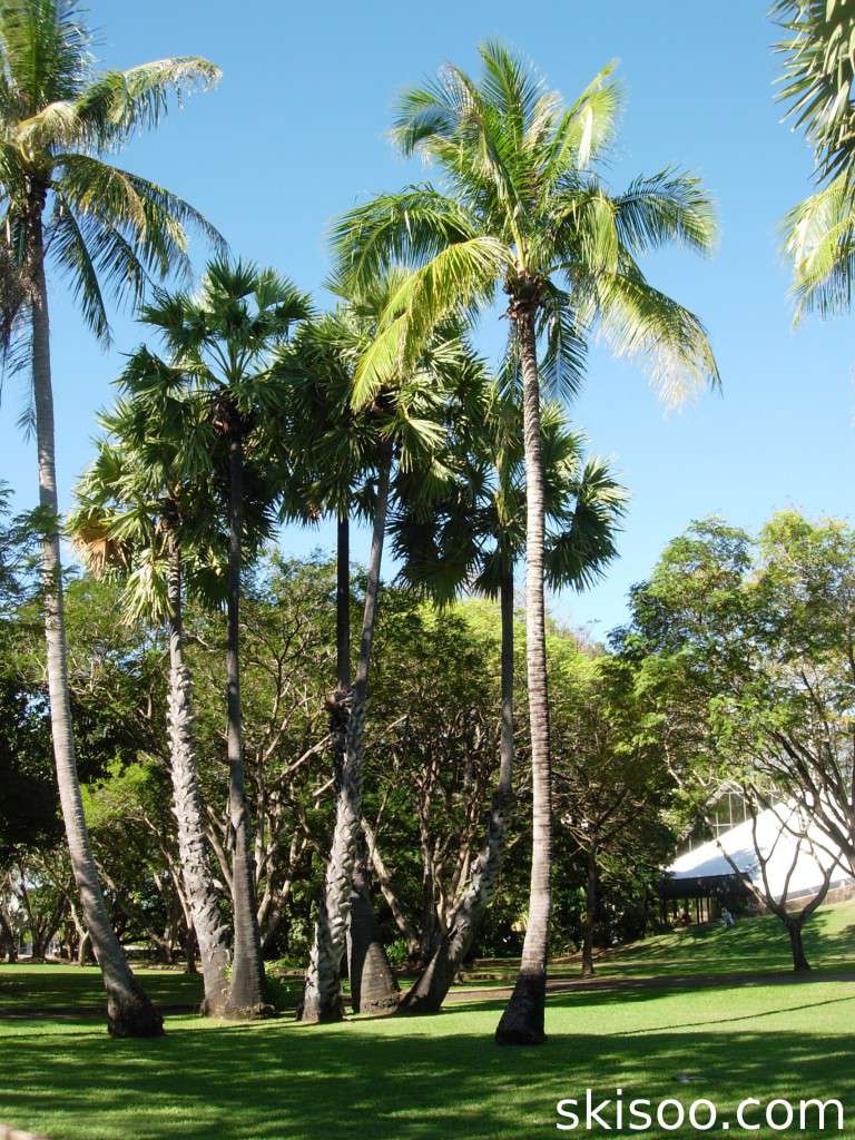 Park in Darwin