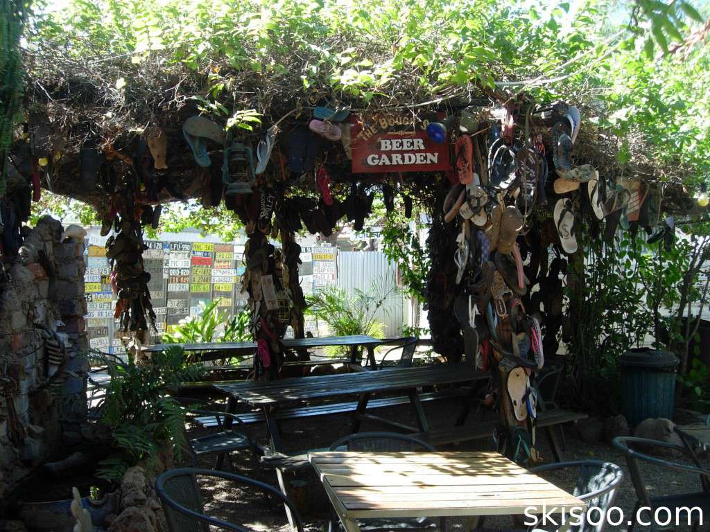 The shoe tree at Daily Waters Pub