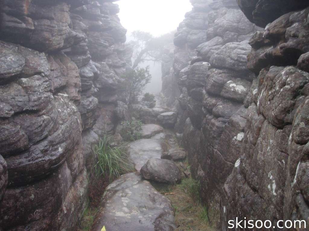 Foggy path in the Grampians