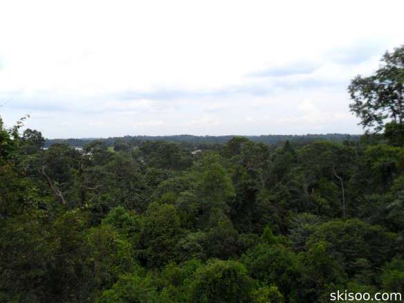 North view from the Tree Top Walk