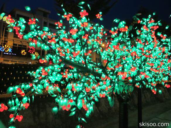A green LED lighted tree