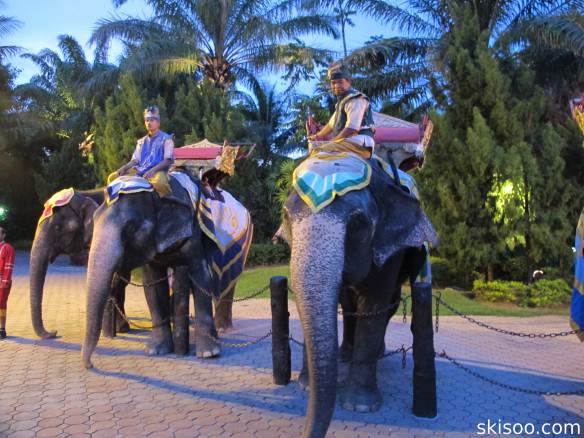 Elephants waiting for a hug or a ride